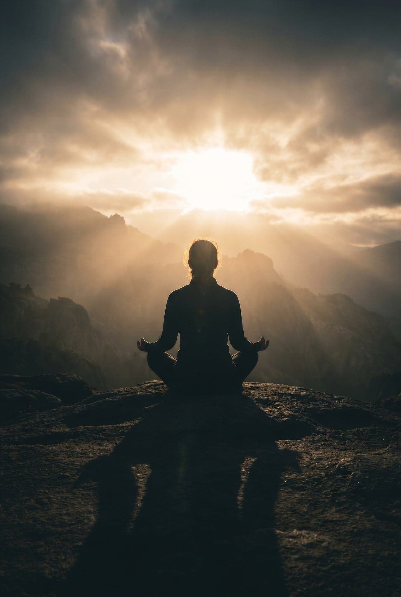 Rebirth Wellness Retreat in Rishikesh